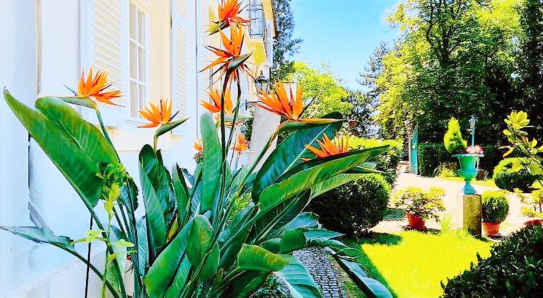 Ferienwohnung Merdingen