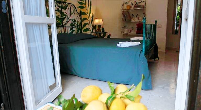 Jungle Rooms — photo 4