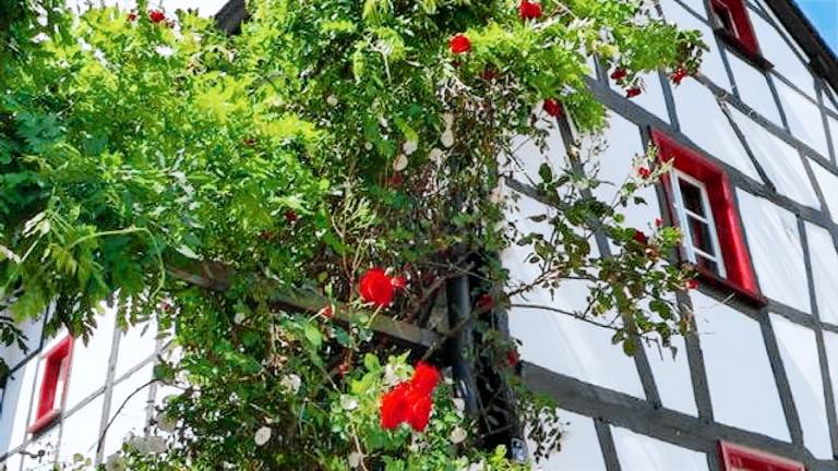 Ferienhaus Woffelsbach