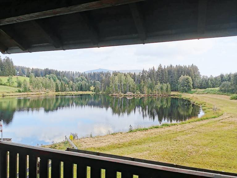 Ferienwohnung Haidmühle