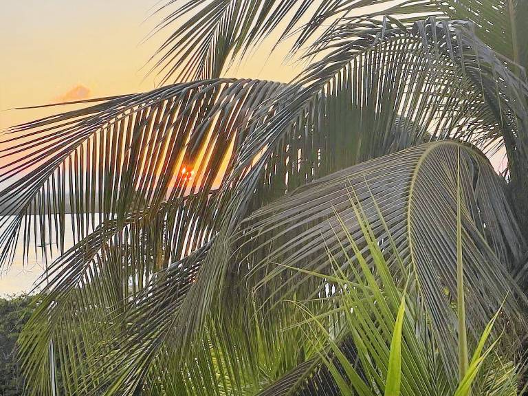 Ocean View Apartments – Delicia in Cancún