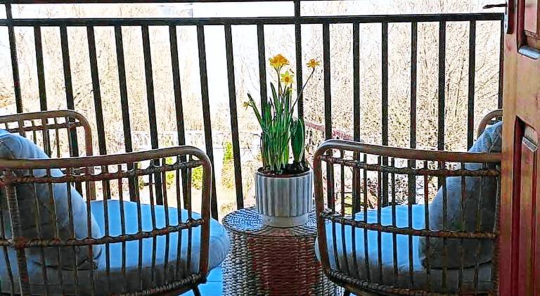 SIELSKO - ANIELSKO Apartamenty 96m2, Kielce, Ogrod, Grill, Bezplatny Parking — photo 4