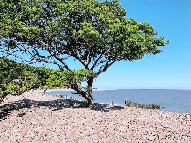 House Porlock