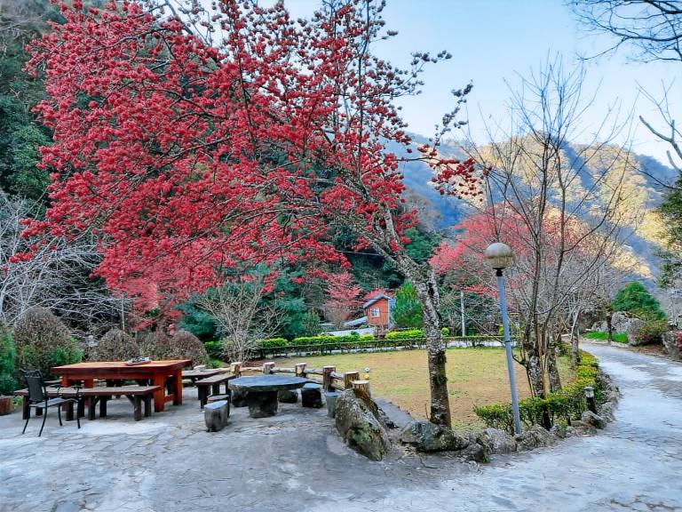 溪景生態農莊 桃園市民宿037號 — photo 5