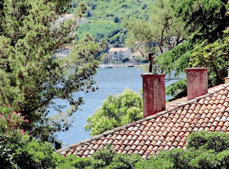 Apartment Kotor