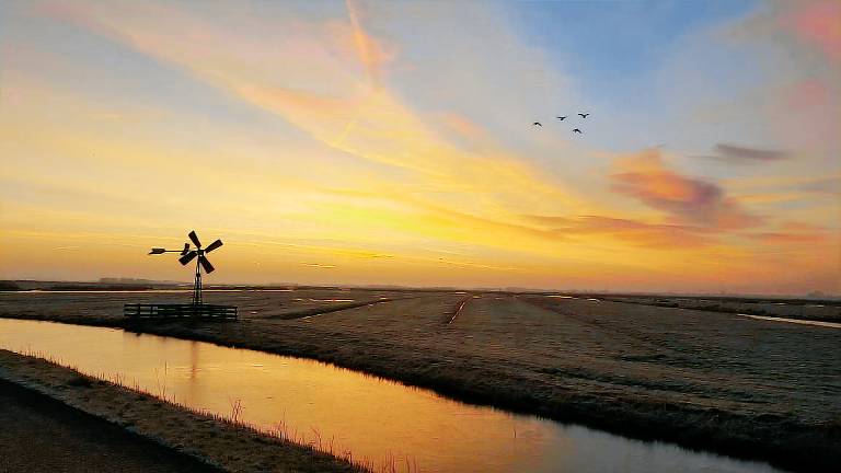 Boerderij De Rijp