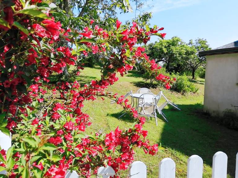 Charming cottage with yard & BBQ | Pet-friendly — photo 3
