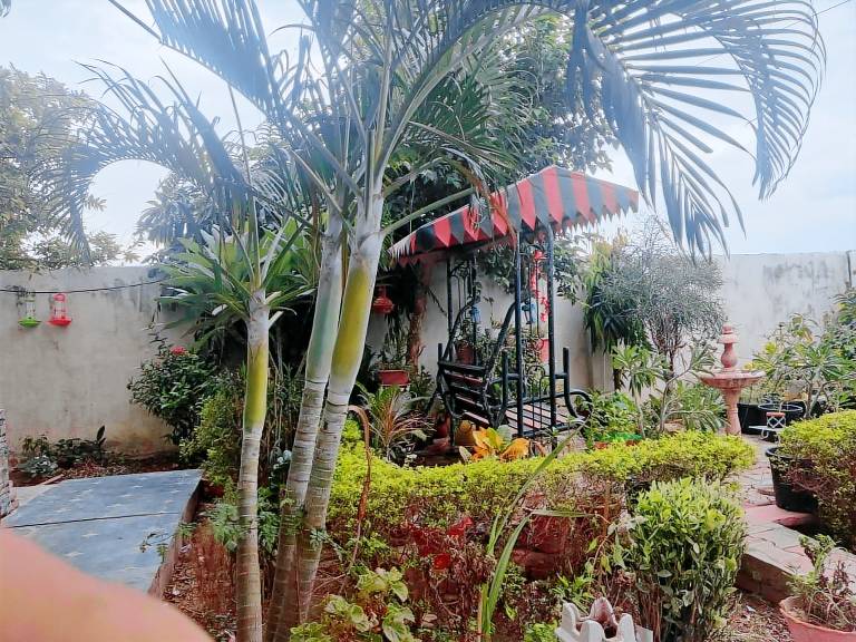 Green Meadows Homestay — photo 2