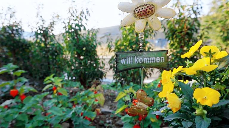 Ferienwohnung  Brauneberg