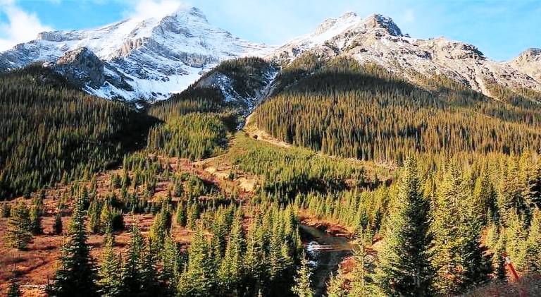 High Country Lodge — photo 3