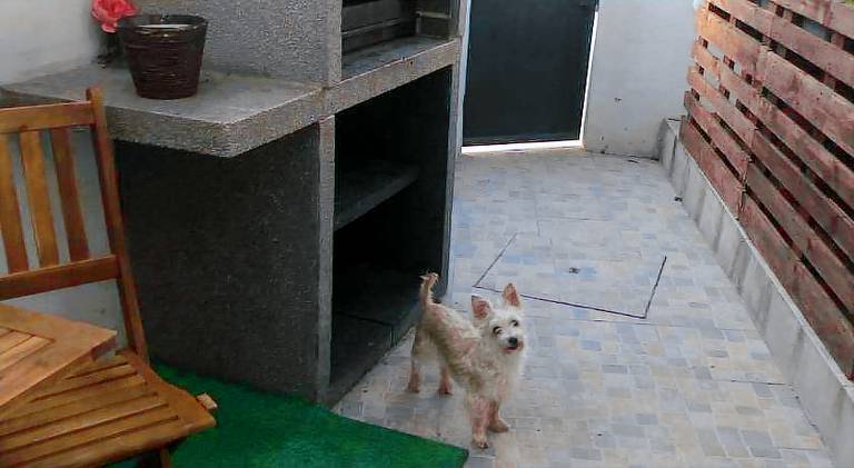 Cantinho da Susana — photo 5