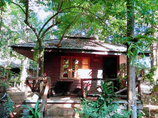 Jungle Bay Resort — photo 5