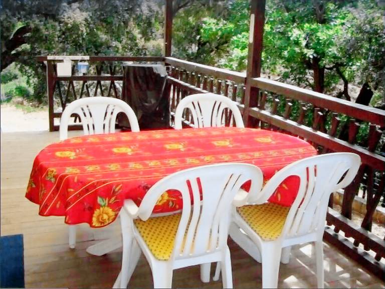 House with yard, pool & patio | Nature view — photo 5