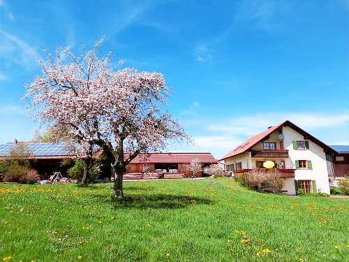 90 m² Ferienwohnung