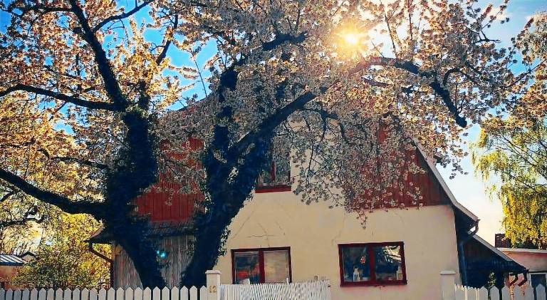 Villa Betty in Visby
