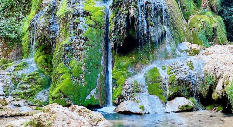 Les Monts d'Amara, ressourcement, nature, sante in Rodez