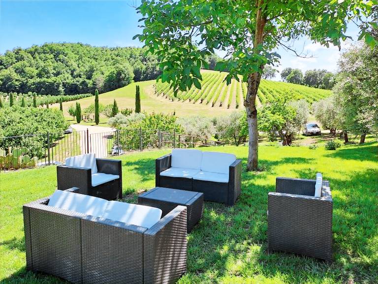 Tenuta La Torraccia: ULIVO — photo 4