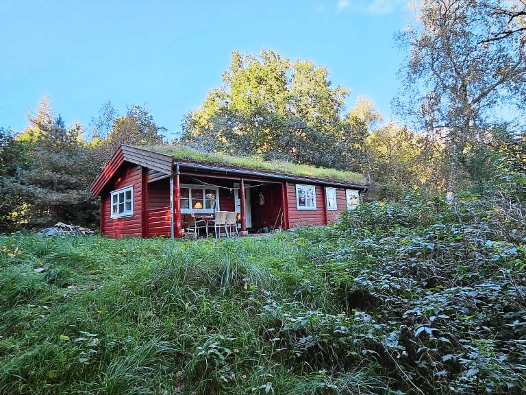 Charming, older cottage in nature — photo 2