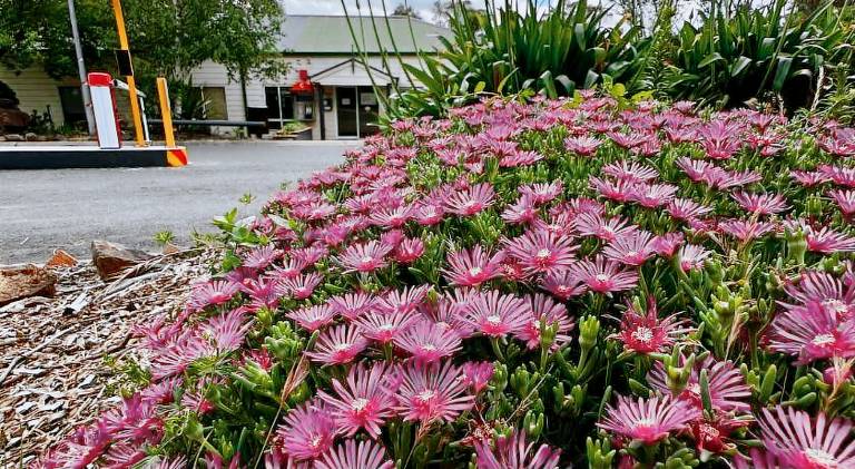 Eaglehawk Park Canberra