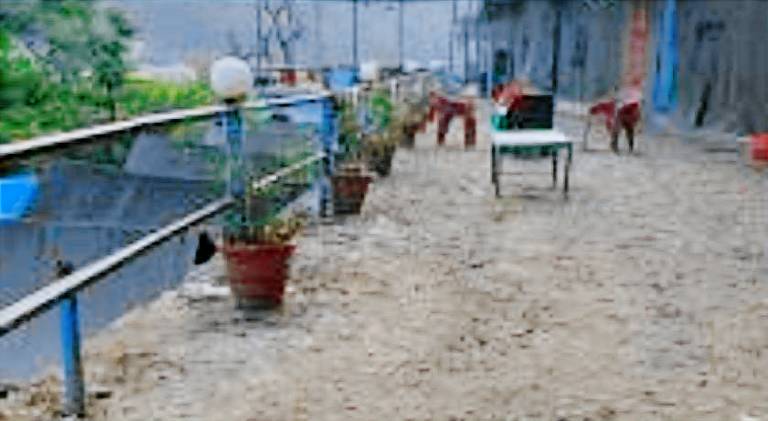 foto4