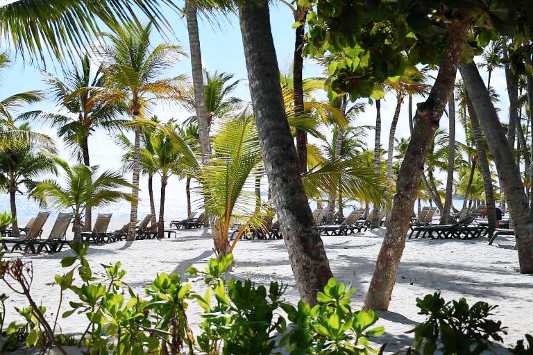 Ferienwohnung Playa Bibijagua