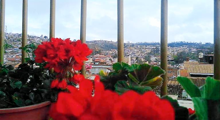 foto31