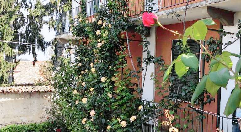 Pleasant holiday apartment | Dogs allowed in La Morra