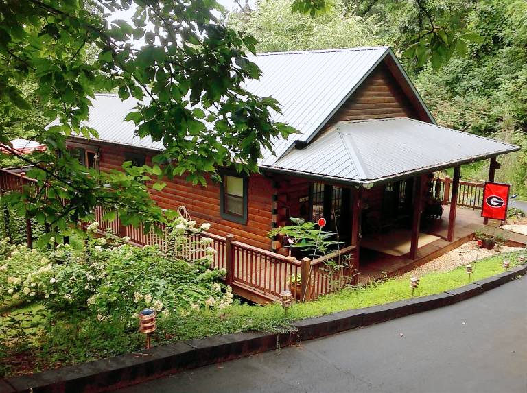 Cabin Young Harris
