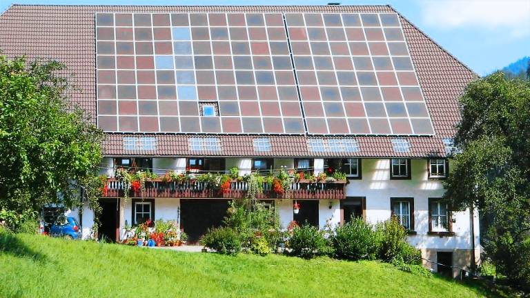 Ferienwohnung Hornberg