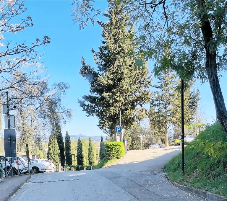 foto2