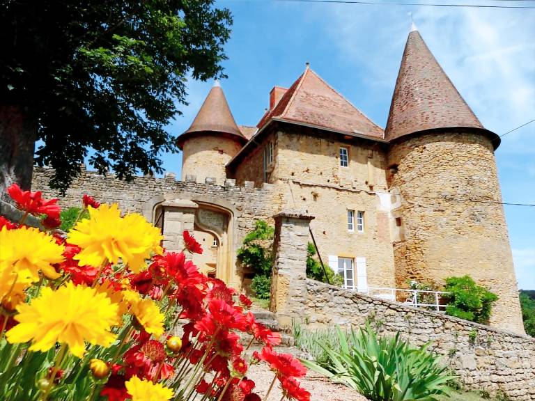 Castillo Saint-Martin-de-Lixy