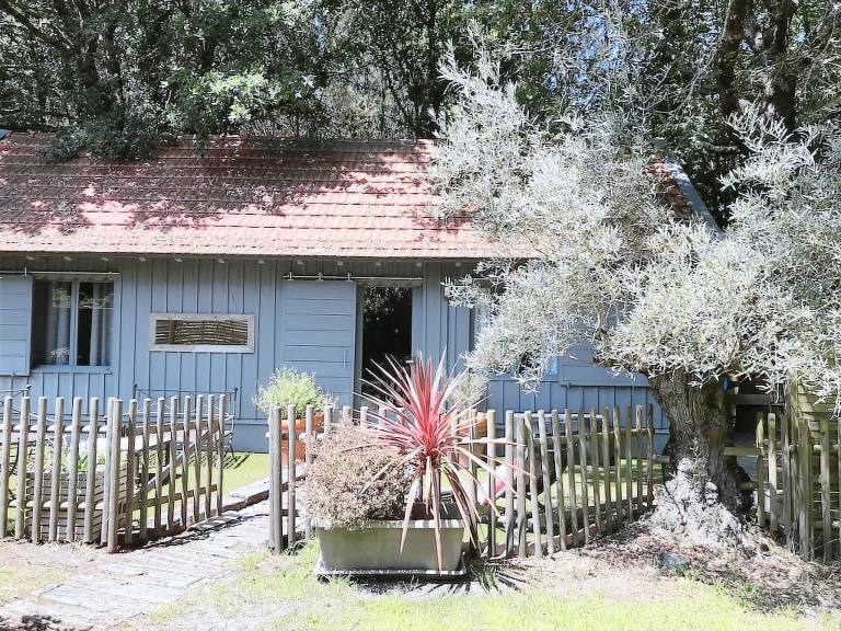 Cottage Biganos