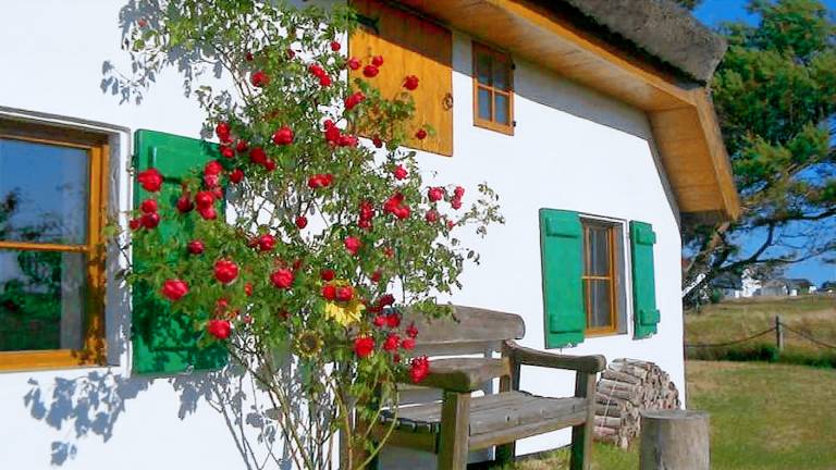 Ferienwohnung Insel Hiddensee