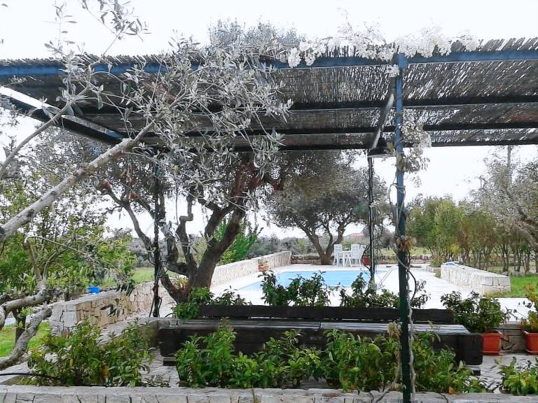 House with private pool, garden & barbeque | Nature view — photo 4