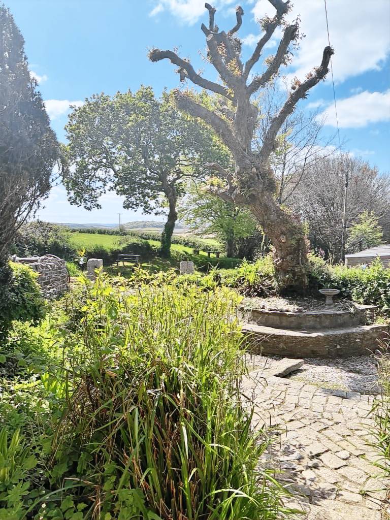 Fully equipped cottage with sauna, garden & BBQ | Dogs allowed in Bodmin