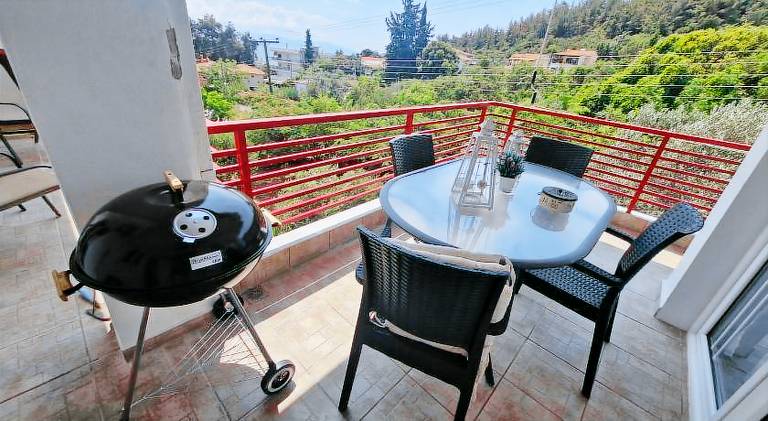Rental apartment with garden, barbecue & patio — photo 4