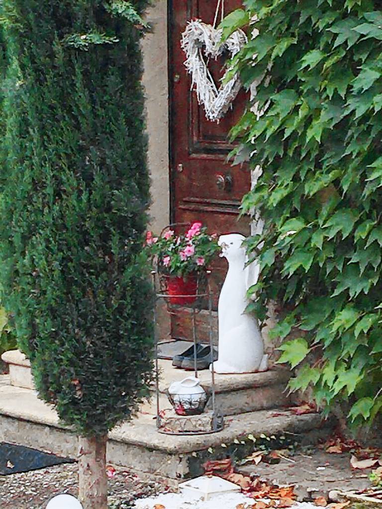 foto20