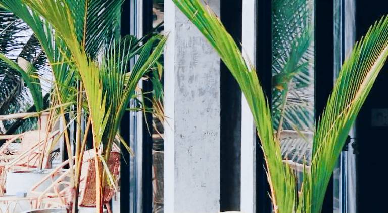 Morena Boutique Hotel — photo 4
