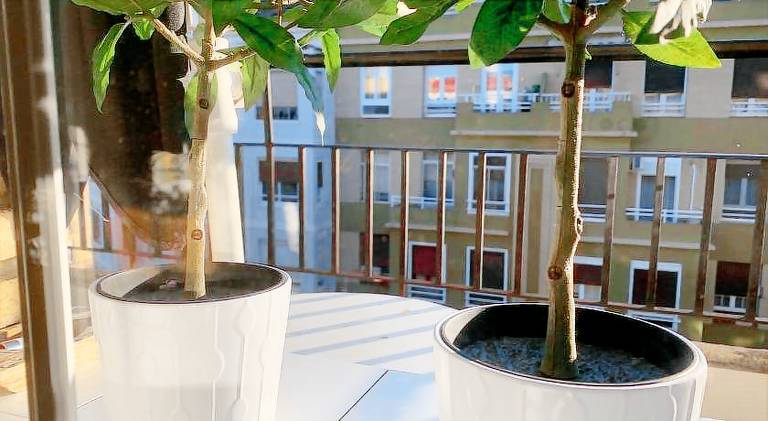 Pleasant holiday apartment | Close to Cathedral-Basilica of Our Lady of the Pillar | Perfect for remote work | Pet-friendly — photo 5