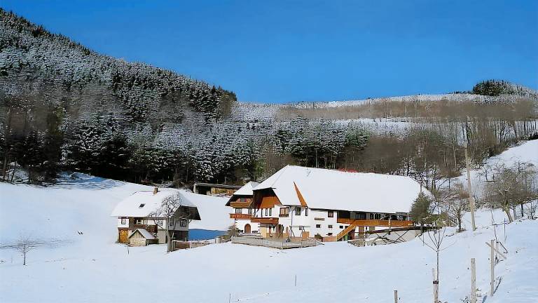 foto4
