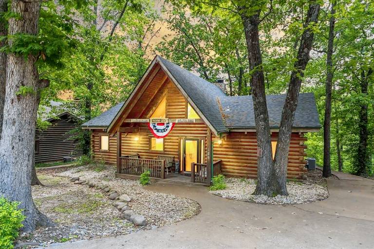 Cabin Ridgedale