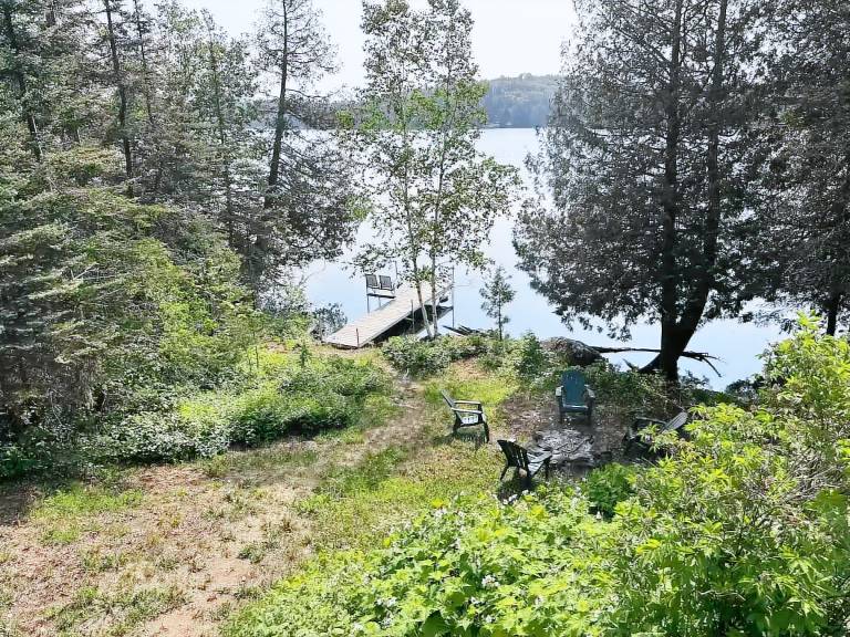 Cabin Lutsen