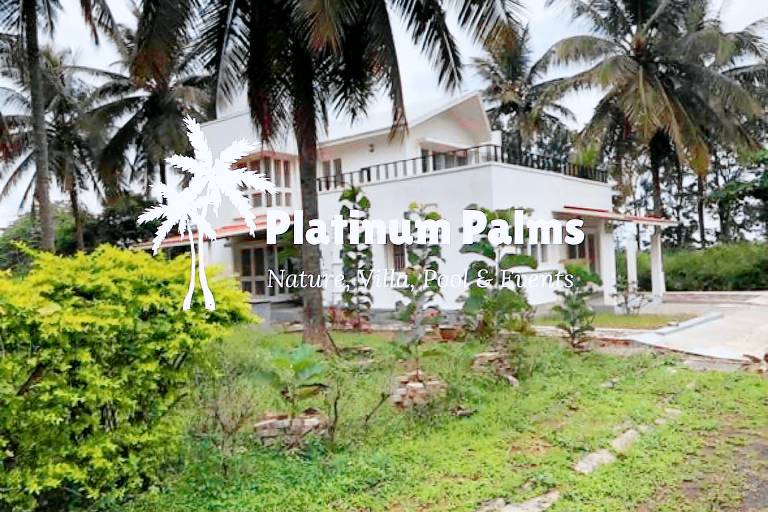 Platinum Palms Villa with Pool