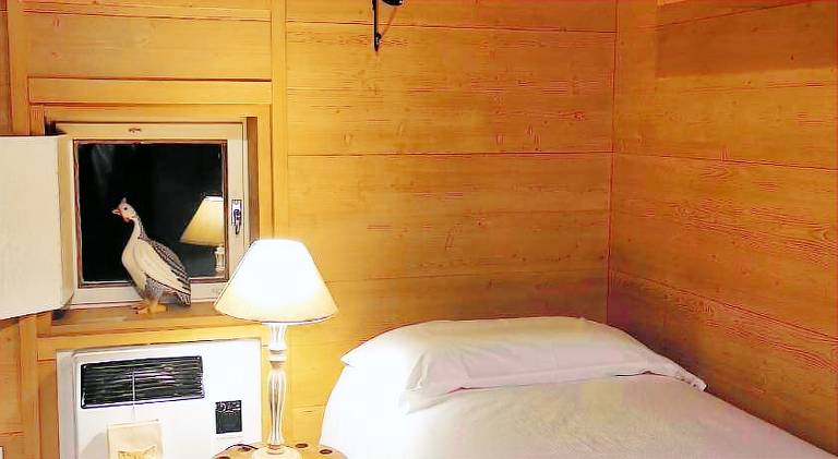 Fully equipped chalet with patio, garden & grill | Pets are welcome — photo 2