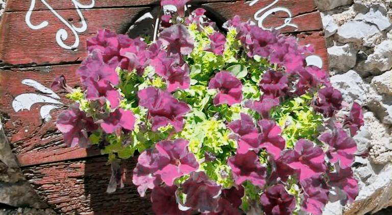 B&B Il Melograno
