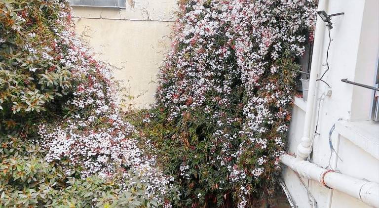 Holiday apartment | Dogs allowed — photo 5