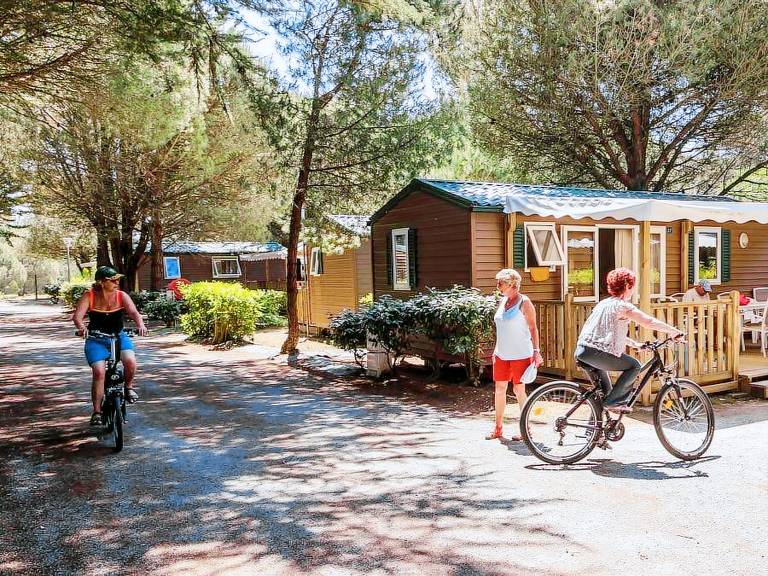 Mobile home with terrace — photo 3