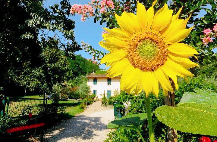 Ferienwohnung  Pistoia