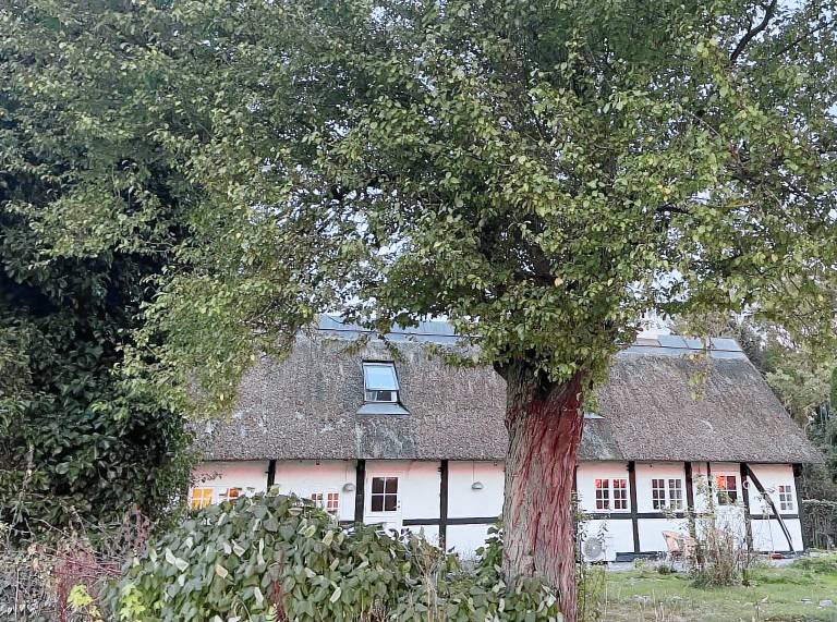 Villa Bandholm