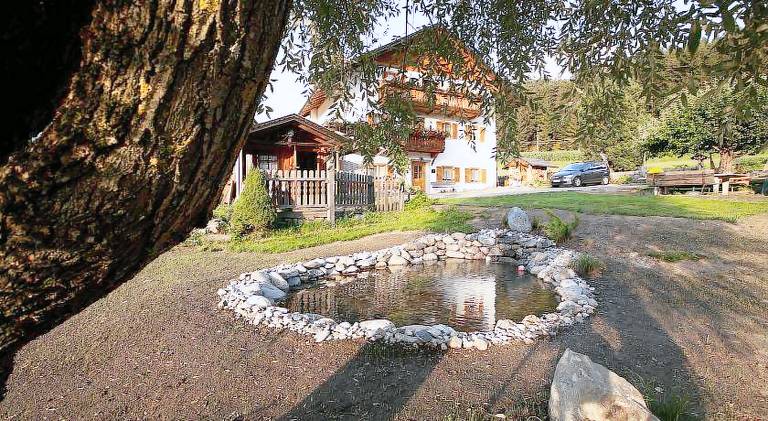 Farm with pool | Pets are welcome — photo 4